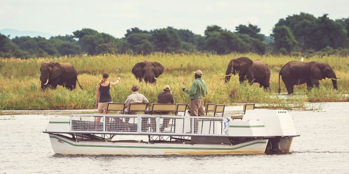 Best-Safari_Zimbabwe