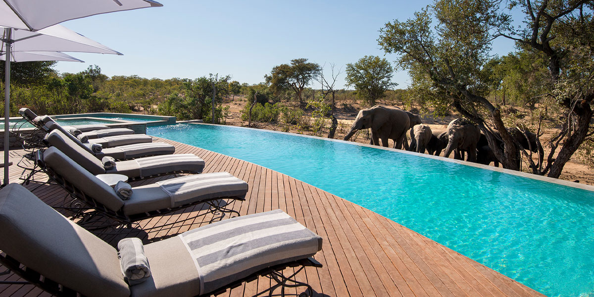 Ngala Safari Lodge - Kruger National Park, South Africa