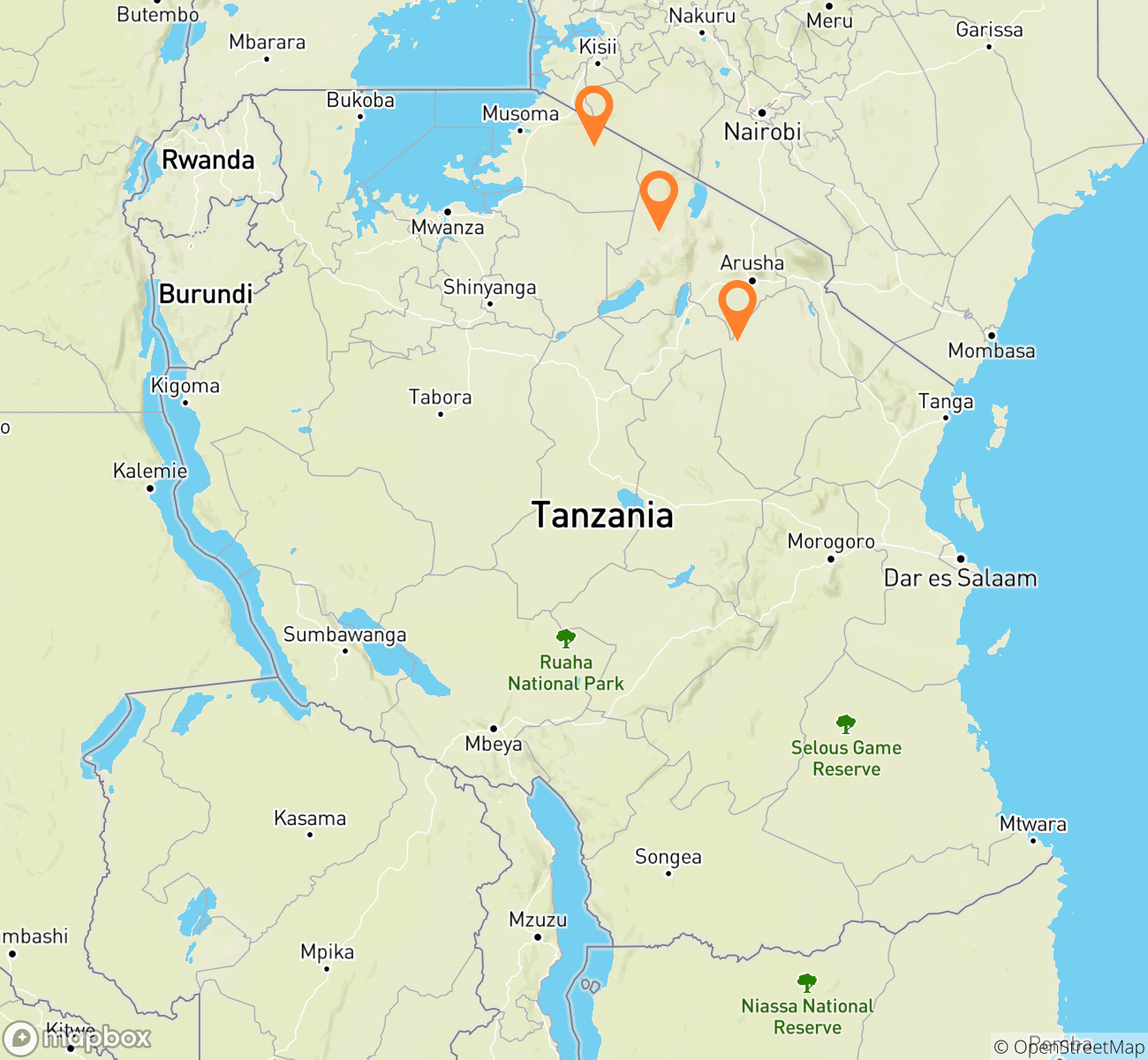 Authentic Tanzania Safari