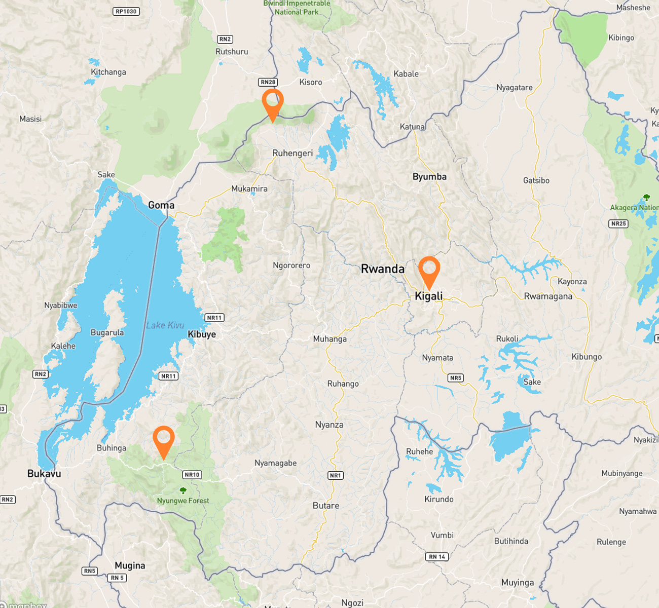 Nature, Chimps & Gorillas Rwanda Safari