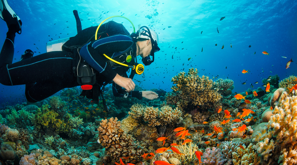 Zanzibar: The Perfect Vacation Destination for 2023